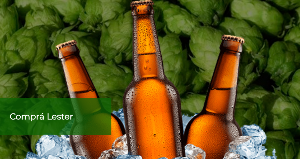 Compra CErveza Lester